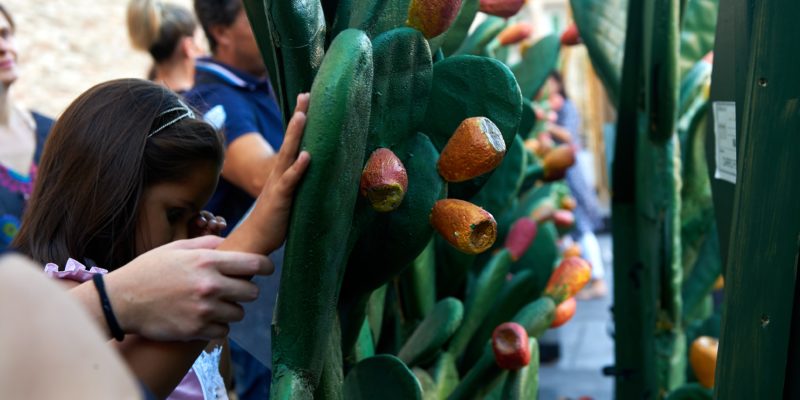 MOF 2019 InclusivOpera ciechi Macbeth TAB_2707TABO MOF 2019 InclusivOpera ciechi Macbeth TAB_2707TABO