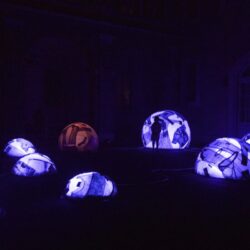 Bia_MOF2020_foto_Tabocchini_Zanconi_K1A7183