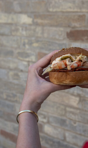 marino - Carlo Scheggia